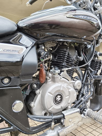 Auburn Black Bajaj Avenger Cruise 220 BS6