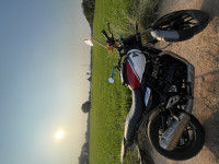 Triumph Speed T4 2025 Model