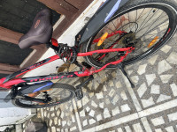 Bicycle Montra 2024 Model