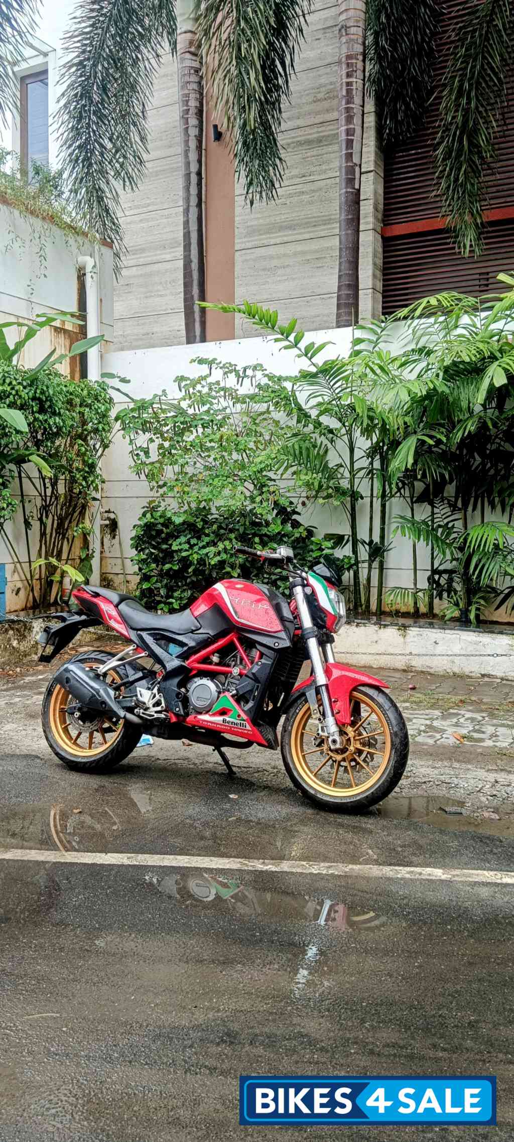 Red Benelli TNT 25