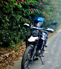 Blue White Hero XPulse 210