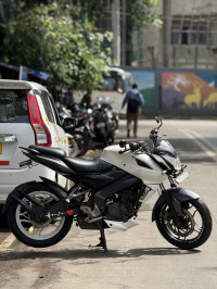 Bajaj Pulsar 200 NS 2019 Model