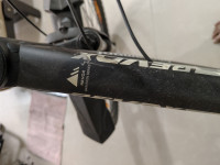 Bergermont 2019 Model