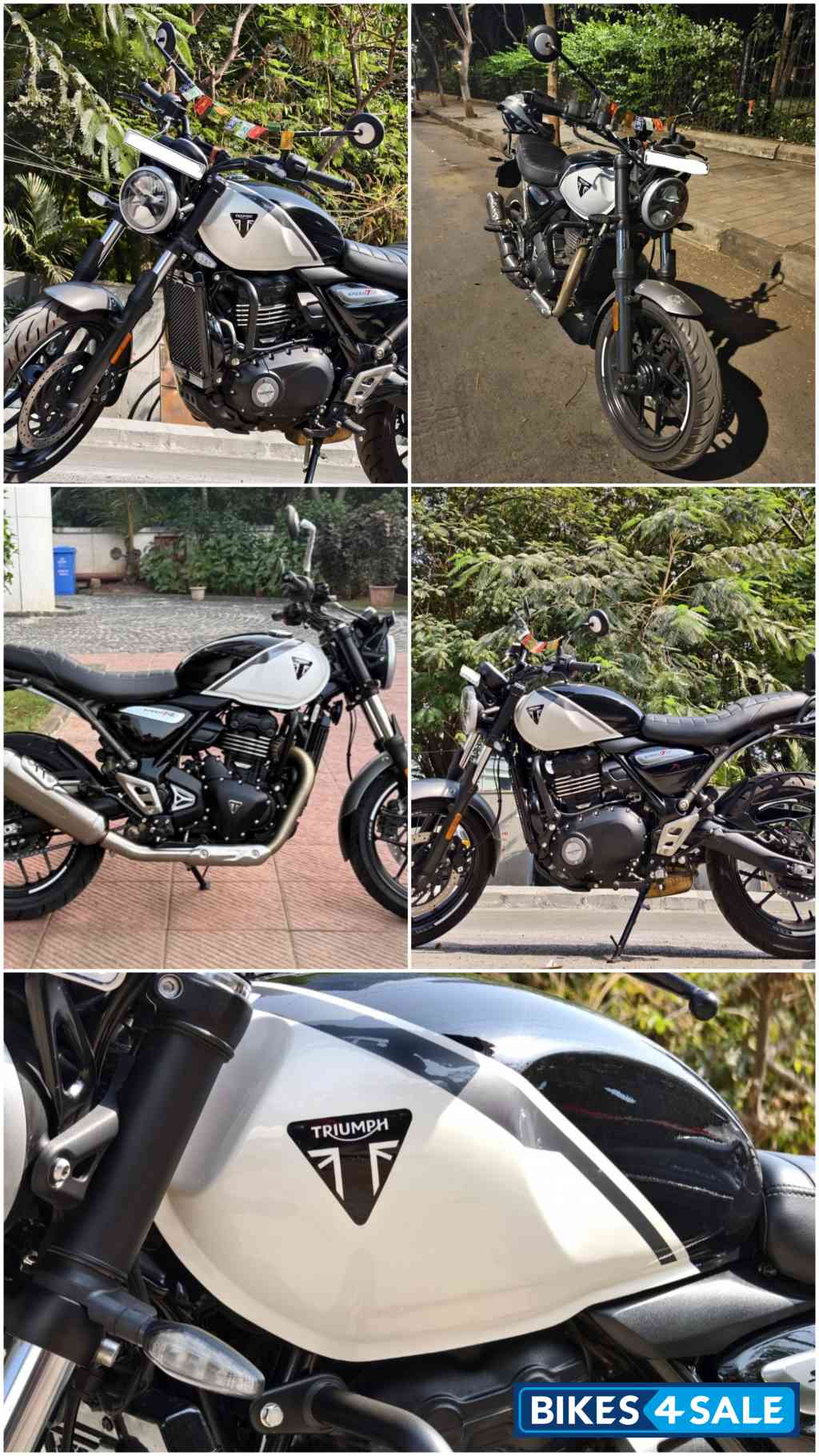 Triumph Speed T4 Triumph Speed T4