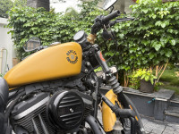 Harley Davidson Iron 883