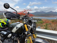 Triumph Scrambler 400 X