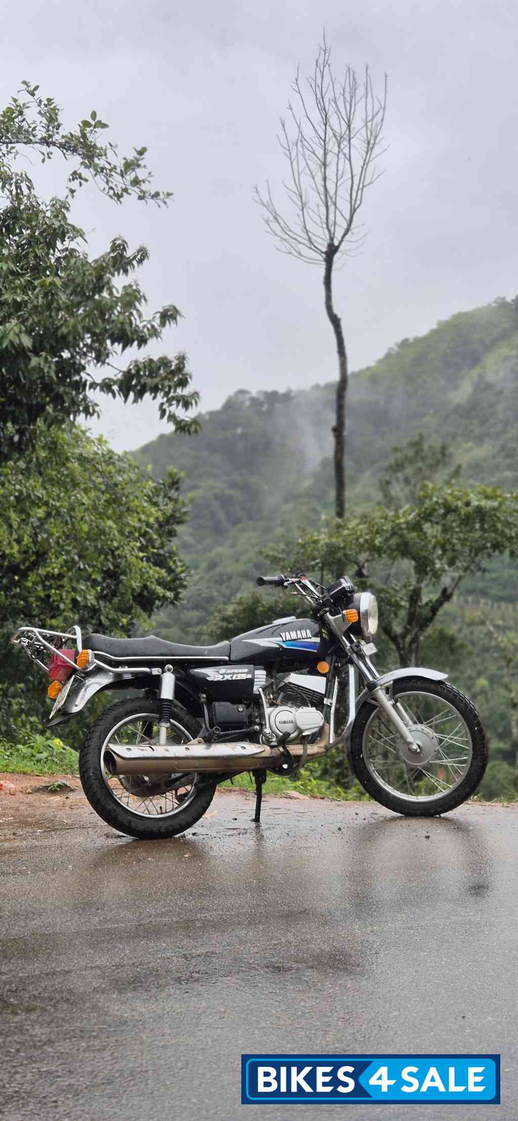 Yamaha RX 135 Yamaha RX 135