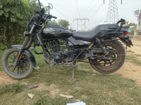Bajaj Avenger Street 160 2024 Model
