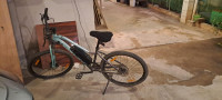 Bicycle EMotorad 2024 Model