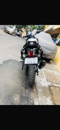 Yezdi Adventure Gloss