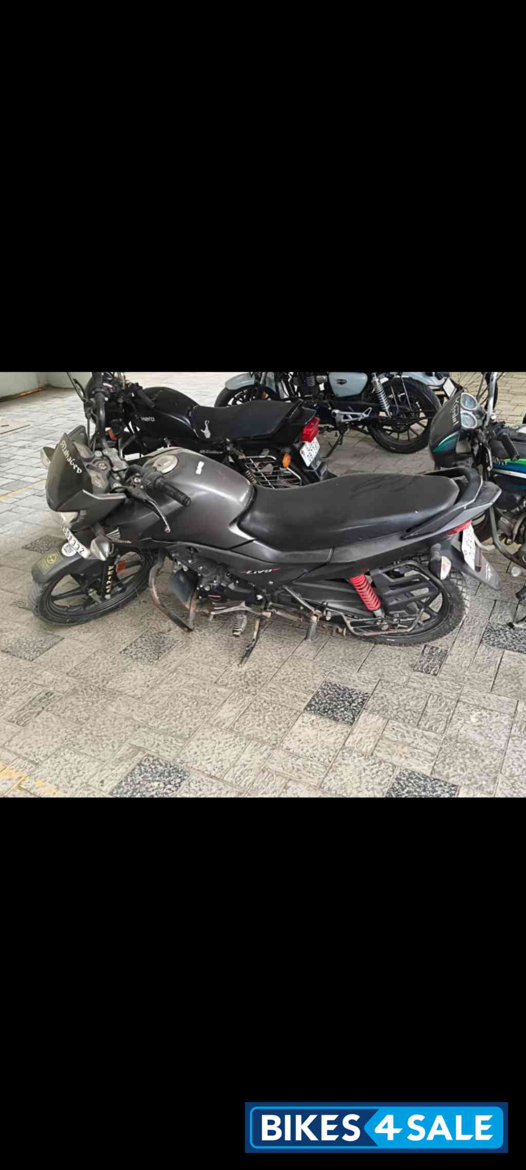 Honda Livo 110