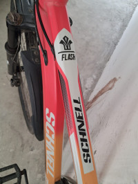 Bicycle Schnell 2025 Model