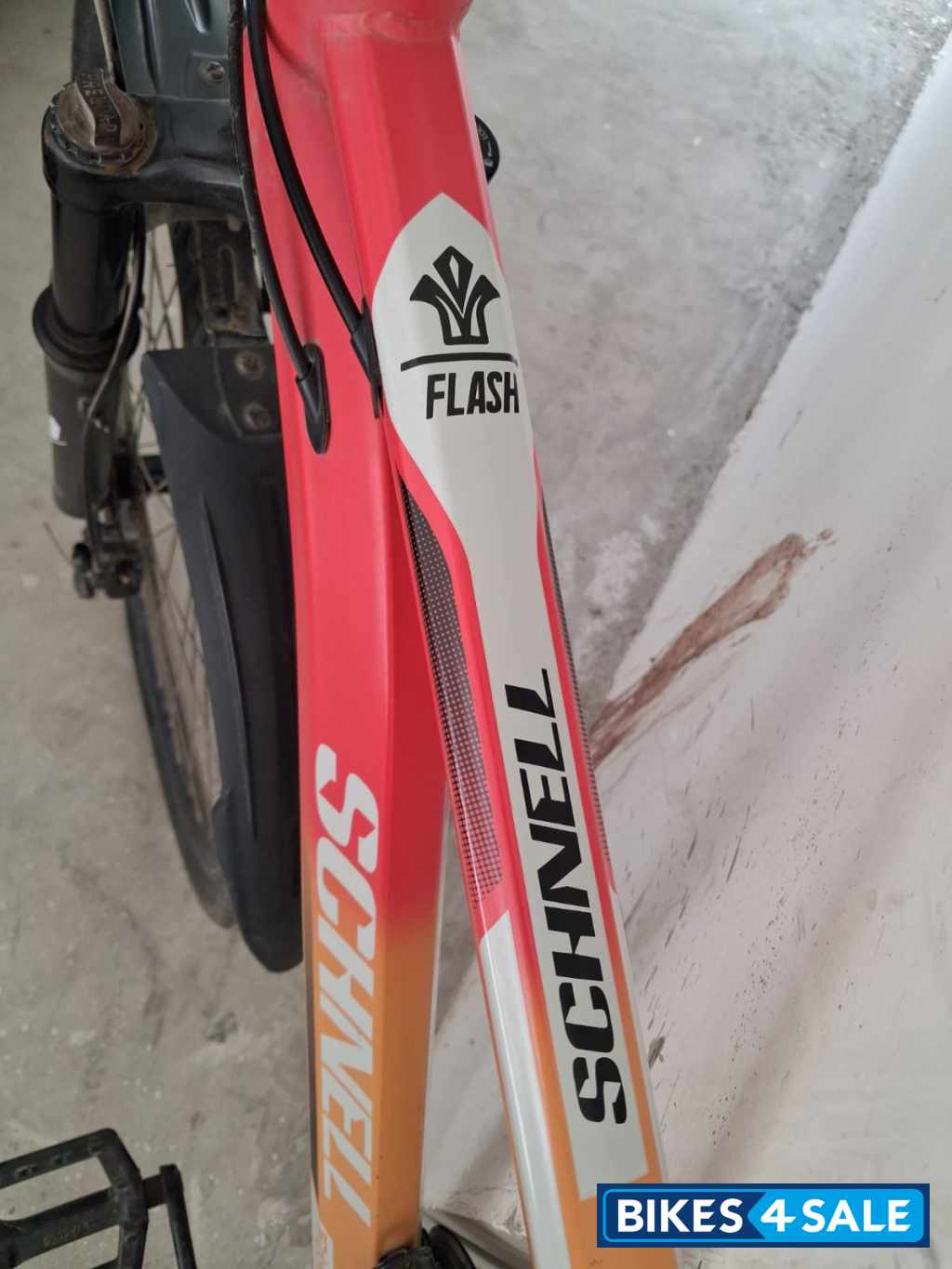 Bicycle Schnell