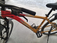 Bicycle Schnell