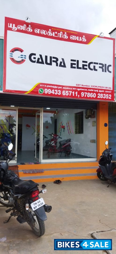 Unique Electric Bike