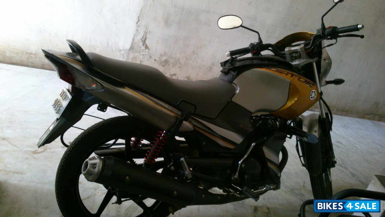 Yellow With Grey Yamaha Gladiator