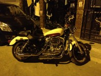 White Harley Davidson Superlow