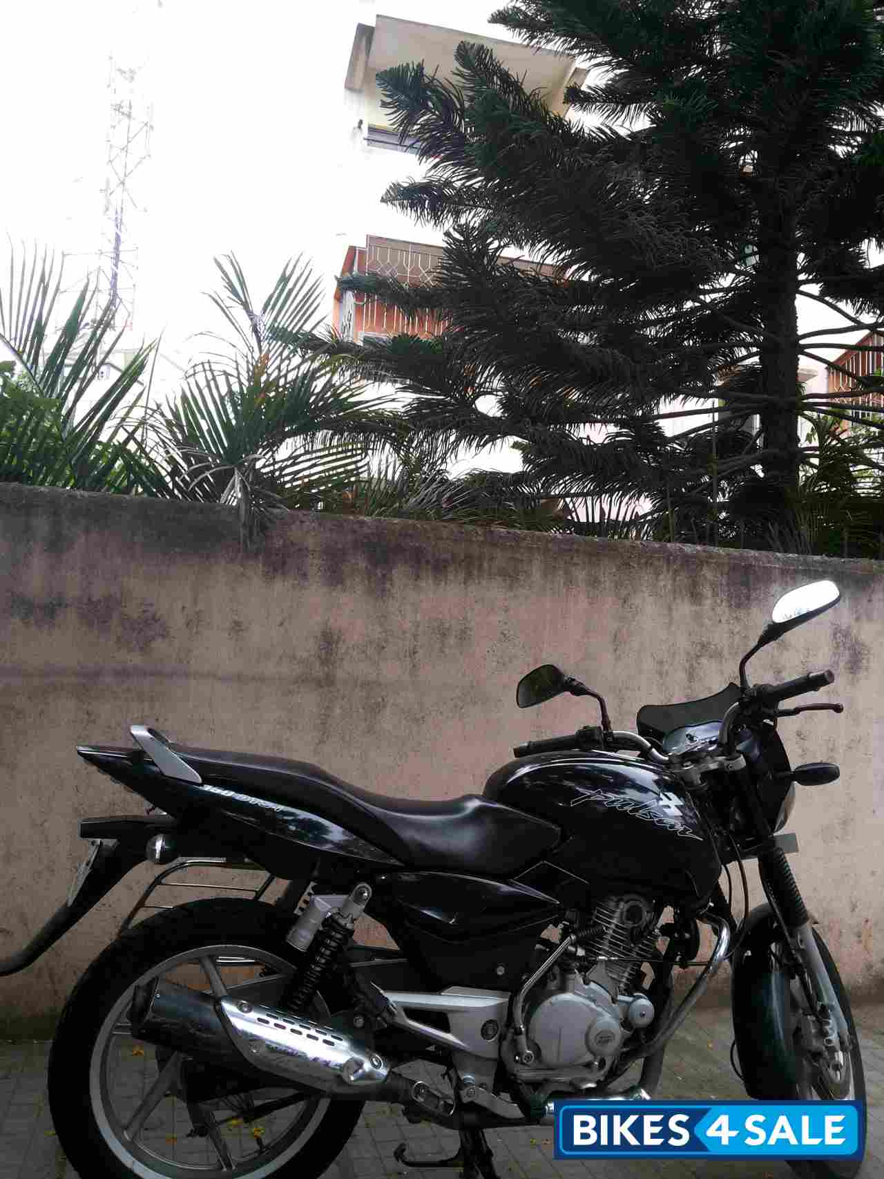 Black Bajaj Pulsar 150 DTSi