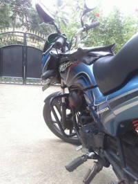 Blue  With Balck Hero Passion Pro
