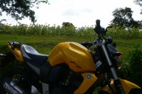 Customised Yellow Yamaha FZ16