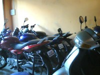 Maid Night Blue Honda Activa