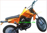 Of Ur Choice Modified Bike