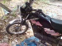 Black Rose Suzuki Shaolin