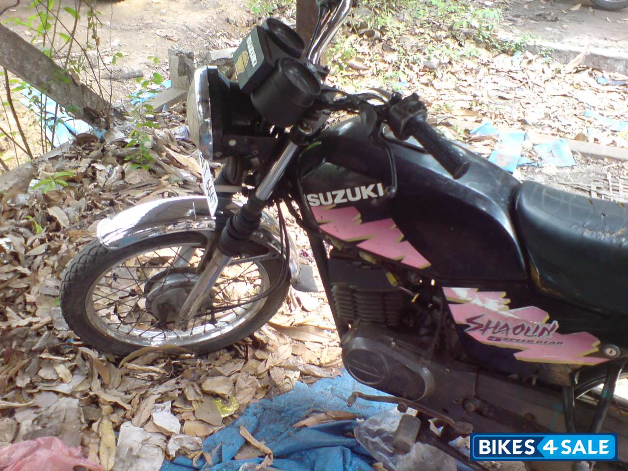 Black Rose Suzuki Shaolin