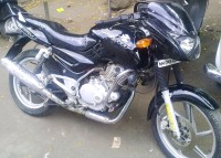 Black Bajaj Pulsar 150 DTSi