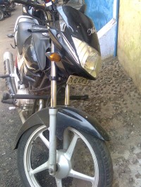 Black Mango Yamaha Alba