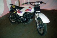 Pearl Whitr Suzuki Shaolin