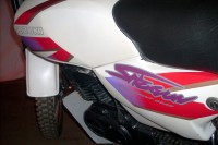 Pearl Whitr Suzuki Shaolin