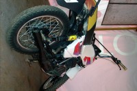 Pearl Whitr Suzuki Shaolin