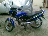 Electric Blue Yamaha Gladiator