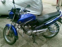 Electric Blue Yamaha Gladiator