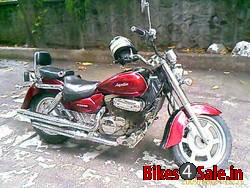 Marron Balck Kinetic Aquila