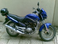 Electric Blue Yamaha Gladiator