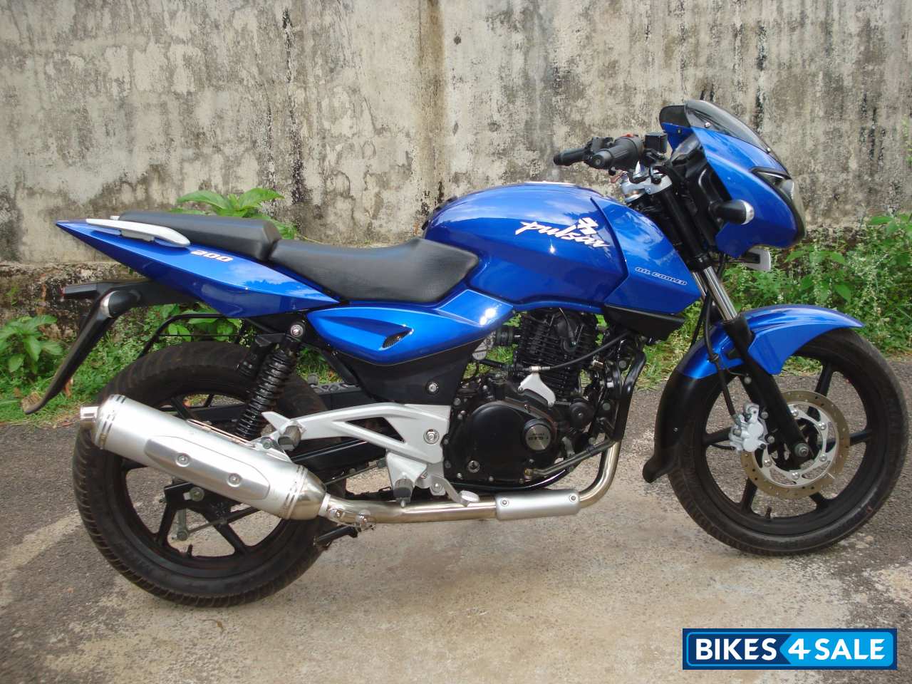 Long Beach Blue Bajaj Pulsar 200 DTSi