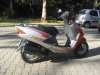 Red Honda Dio