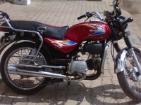 Wine Red Kinetic Boss 115