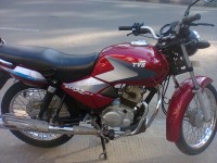Red TVS Star City