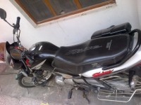 Black Honda Shine