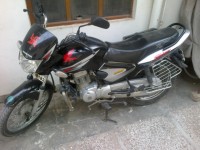 Black Honda Shine