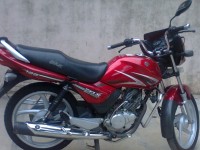 Suzuki Zeus 2008 Model