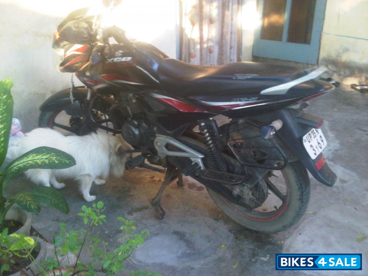 Bajaj Xcd 135 Spare Parts Price List atelieryuwa.ciao.jp