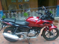 Wine Red Black Bajaj Pulsar 220 DTSFi