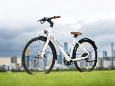 Aoki Cadence GL