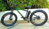 Aponyx Fat Bike