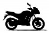 Bajaj Pulsar 125 Standard Single Seat TFT