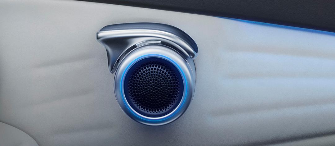 BYD Atto 3 Electric Grip-style door handles